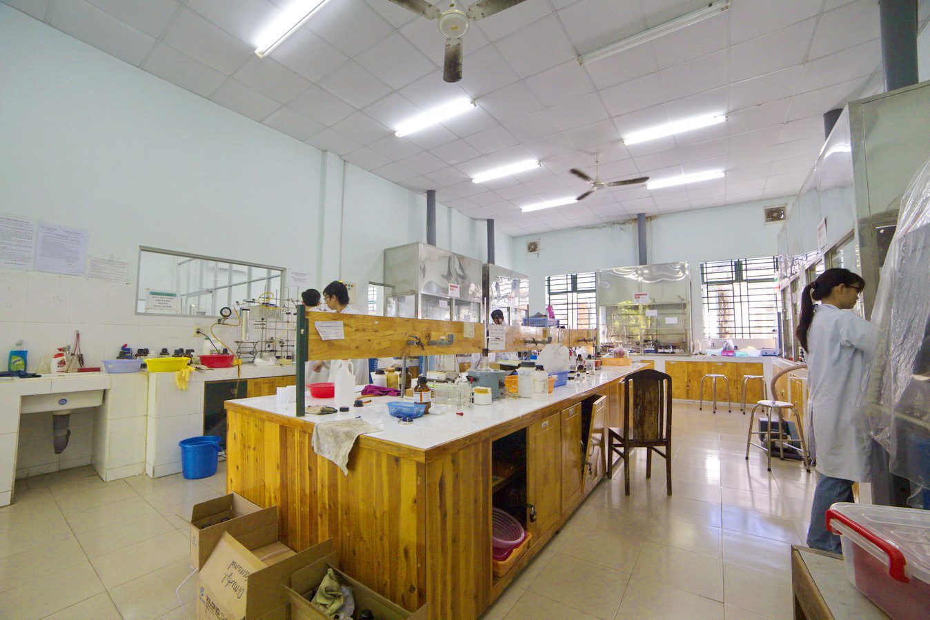 Hình đại diện